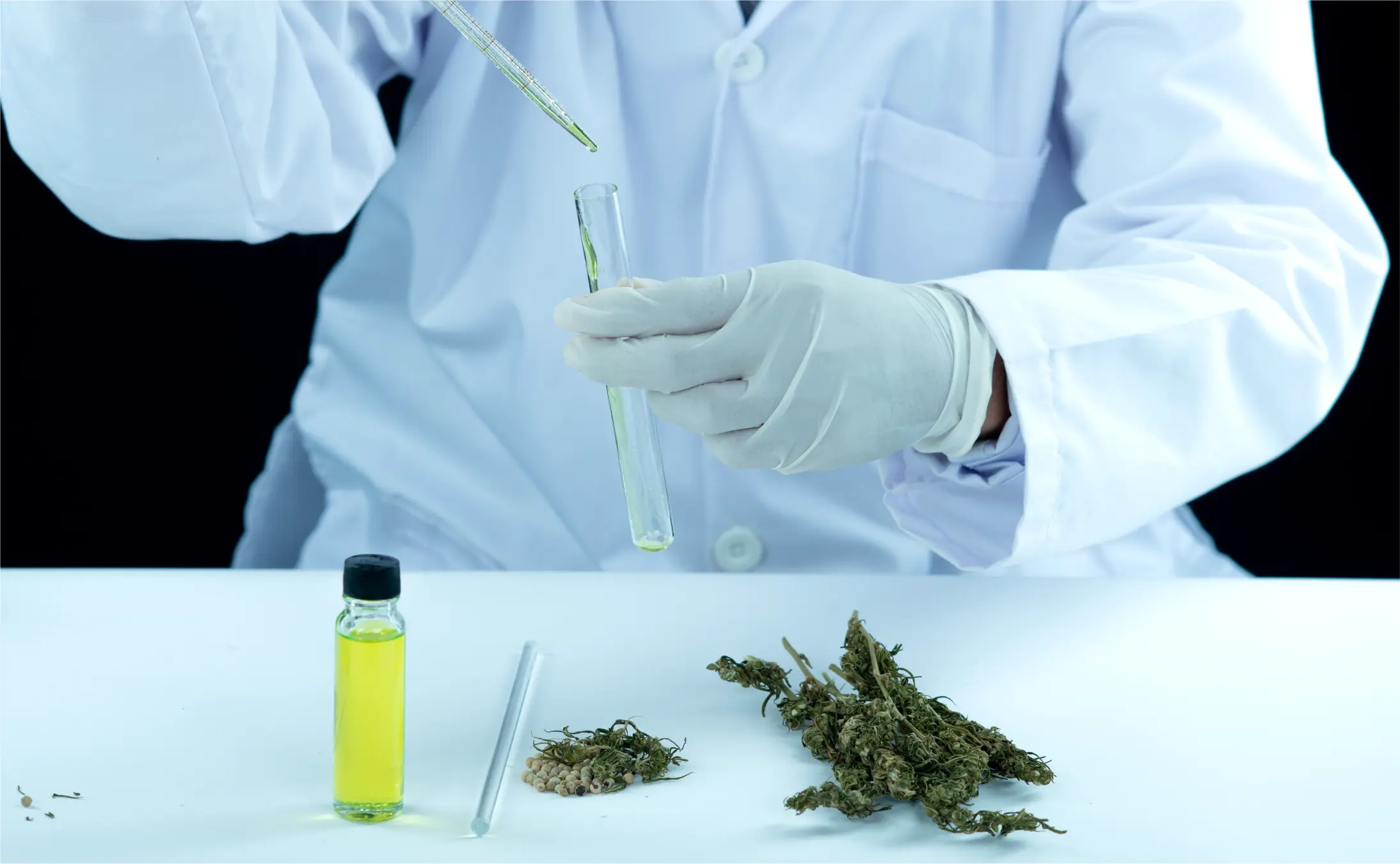 Medical Marijuana