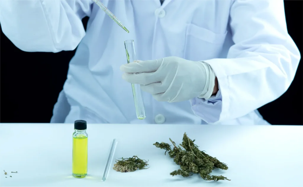 A clinician discussing medical cannabis certification with a patient